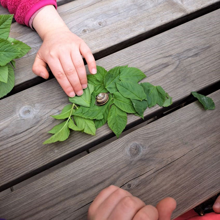Naturvetenskap på Brommarkrokodilen Barnens Montessori